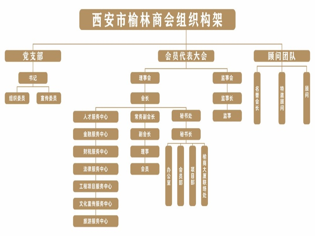 商会组织架构.jpg